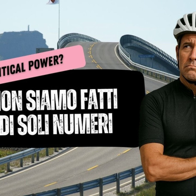 Hormonal Release System© Show