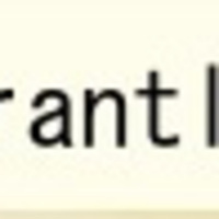 Torture and Warrantless Searches