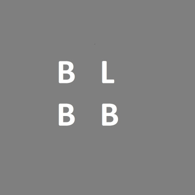 Big Little Brother Brother