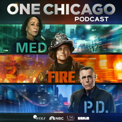 ...these Are Their Stories: The Law  Order Podcast