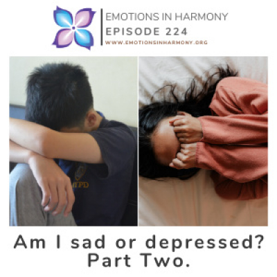 Emotions In Harmony With Dr Carmen Roman Conversations To Help You Achieve Emotional Success Conversaciones Para Ayud