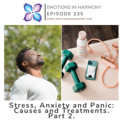 Emotions In Harmony With Dr Carmen Roman Conversations To Help You Achieve Emotional Success Conversaciones Para Ayud