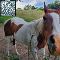 MikesDailyPodcast 3134 Eli