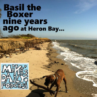 MikesDailyPodcast 3132 Coastal