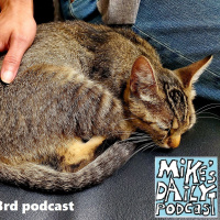 MikesDailyPodcast 3143 Cats