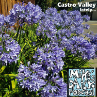 MikesDailyPodcast 3126 Cookies