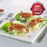 STRIMLET SVINEKJØTT MED ASIATISK SMAK - og hemmeligheten bak kombinasjonen søtt og syrlig