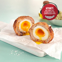 SCOTCH EGG - egg-o-rama