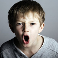 La agresividad en los niños