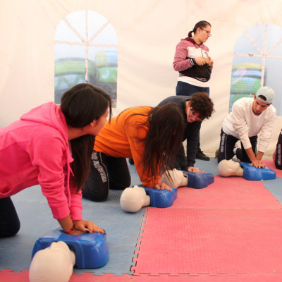 Pildoras De La Salud