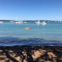 Get the news: Harrison’s Tour, Kauri Tree, Kerikeri