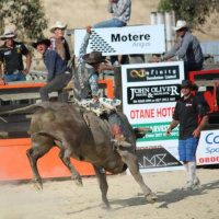 NZ Parklee Bucking Bull Event