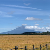 A tour of New Plymouth