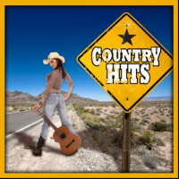 Kiwi Stu: Stus Favorite Country Artist