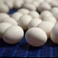 News: McDonald Eggs, Fiji, GM Car Deaths