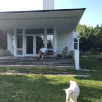 Architecture David Quillin  His Goats