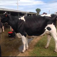 News  Talkback w/ Stu and Victoria