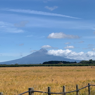 International Connection Radios Tracks