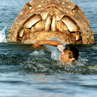 Devil Fish (1984)