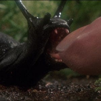 Slugs (1988)