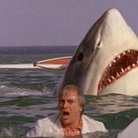 The Last Shark (1981)