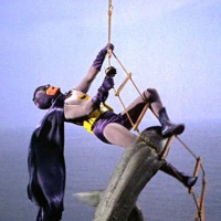 Batman: The Movie (1966)