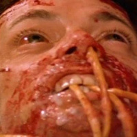 Body Melt (1993)
