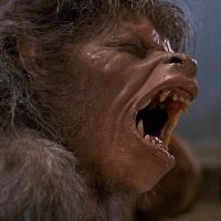 An American Werewolf in London (1981)