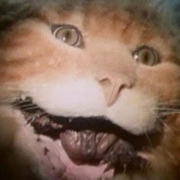 Uninvited (1988)