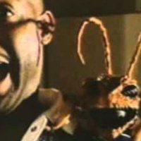 Bugged (1997)