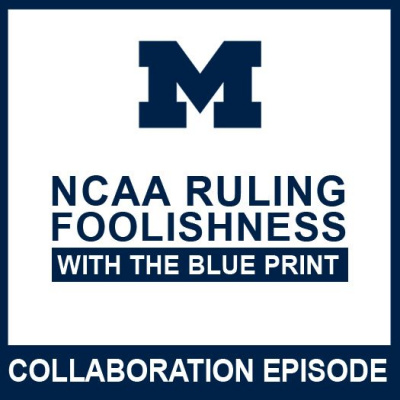 Blue Brothers Sportscast
