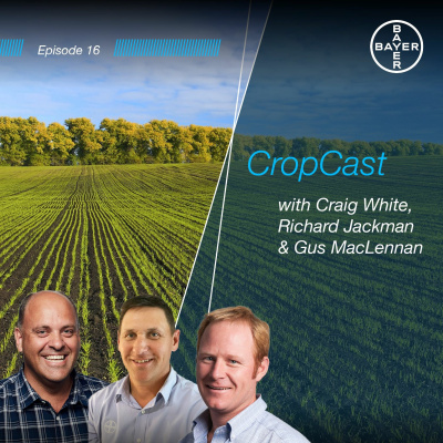 Bayer Crop Cast
