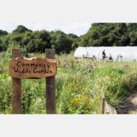 The Ethical Landlord  Investor