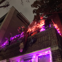 Give Me Your Witches, Your Ghouls, Your Severed Limbs Hanging in Trees