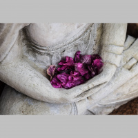 SFTSA Episode 89 - Art As Service
