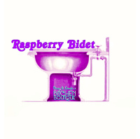 Raspberry Bidet