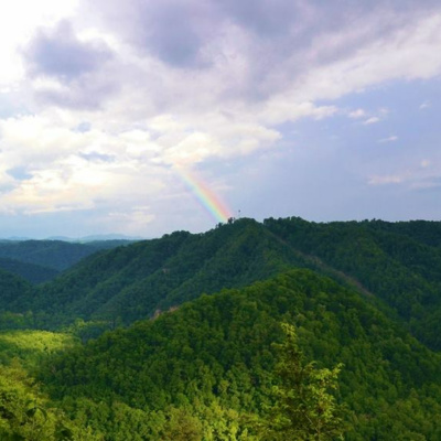 Your Weekly Constitutional