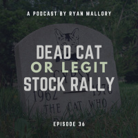 The Dead Cat Bounce - How To Know If This Is A Legitimate Stock Rally
