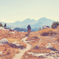 The Transforming Wilderness