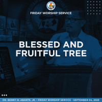 Blessed and Fruitful Tree at 44 (Introduction)