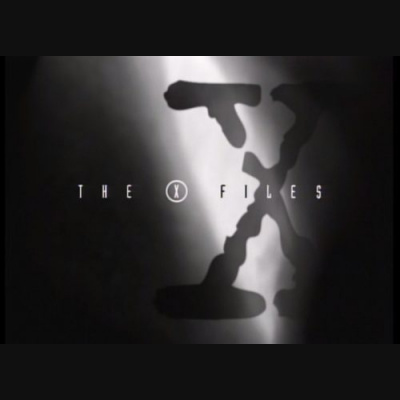 X-files Diaries