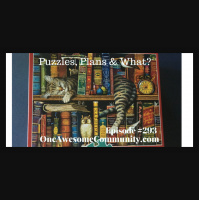 OAC 293 Puzzles, Plans and What?