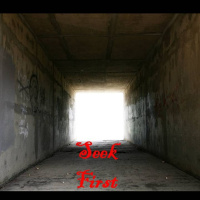 SEEK FIRST - pt1 - Seek First