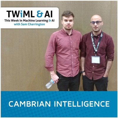 This Week In Machine Learning  Artificial Intelligence (ai) Podcast