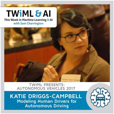 This Week In Machine Learning  Artificial Intelligence (ai) Podcast