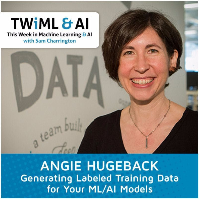 This Week In Machine Learning  Artificial Intelligence (ai) Podcast