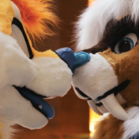 What is a Furry?