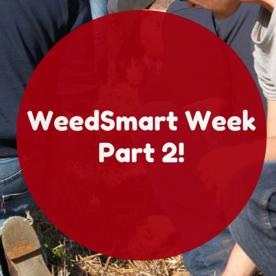 Weedsmart Podcast