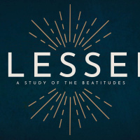 RECKLESS BLESSED Series: The Persecuted - Todd Hampton