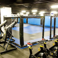 Ep. 75: Alex Friedman-Combat Sports Training